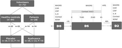 Moderators of ayahuasca’s biological antidepressant action